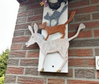 17