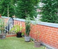 IMG 20250707 150824
